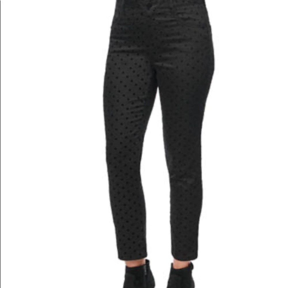 Democracy Women's Absol High Rise Flock Dots Pants